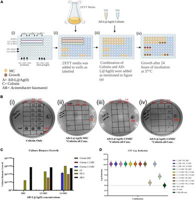 Colistin potentiation in multidrug-resistant Acinetobacter baumannii by a non-cytotoxic guanidine derivative of silver